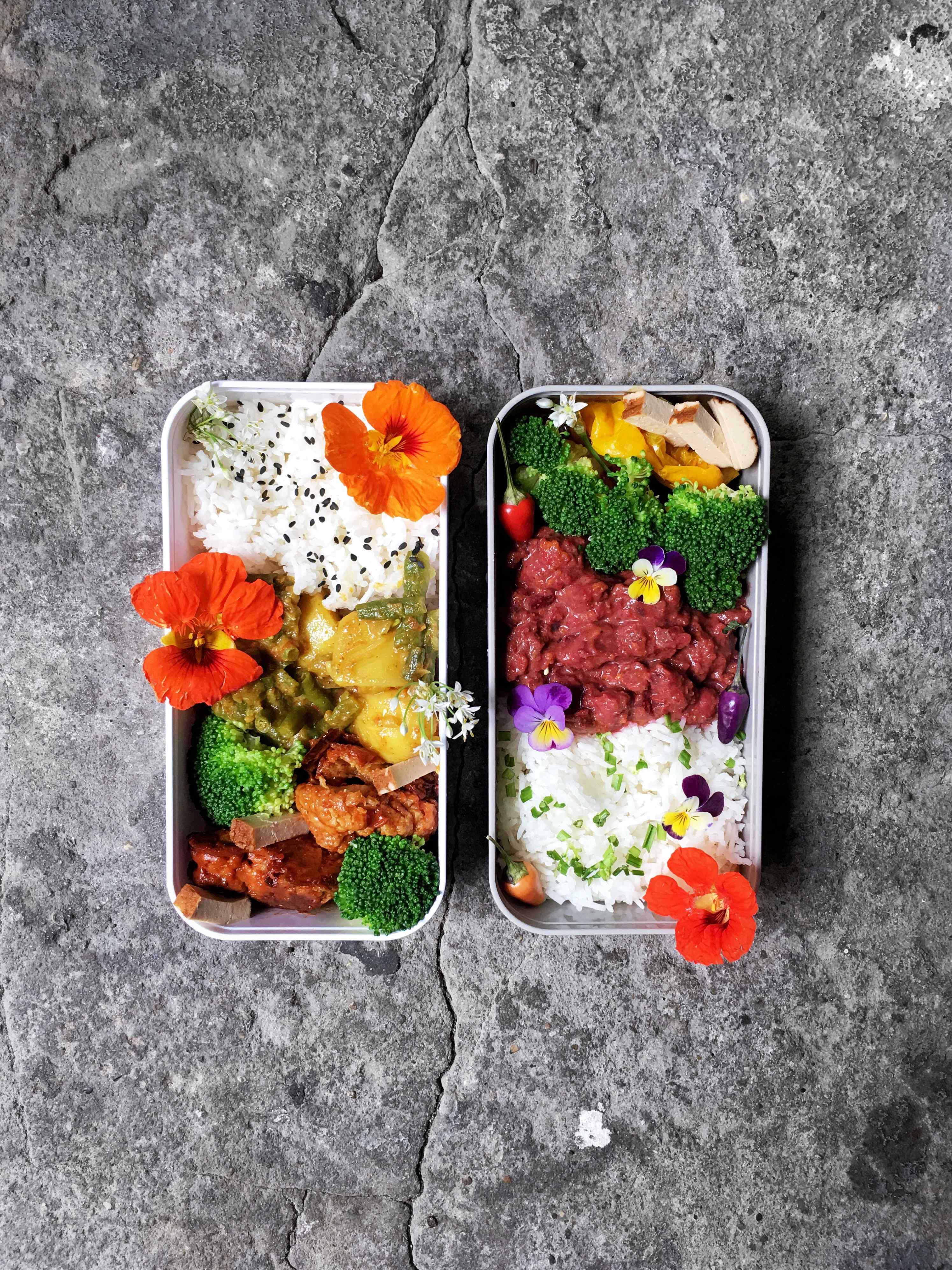 Curry Bento Box - Gathering Dreams