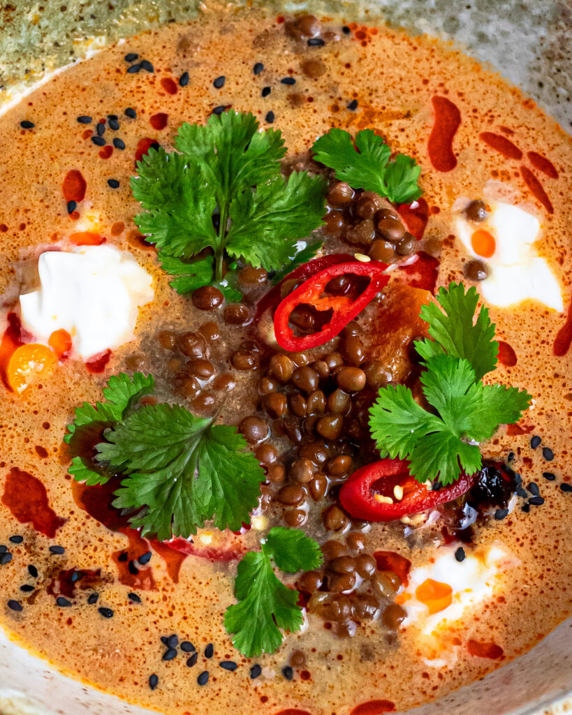 a close up of a bowl of lentil soup